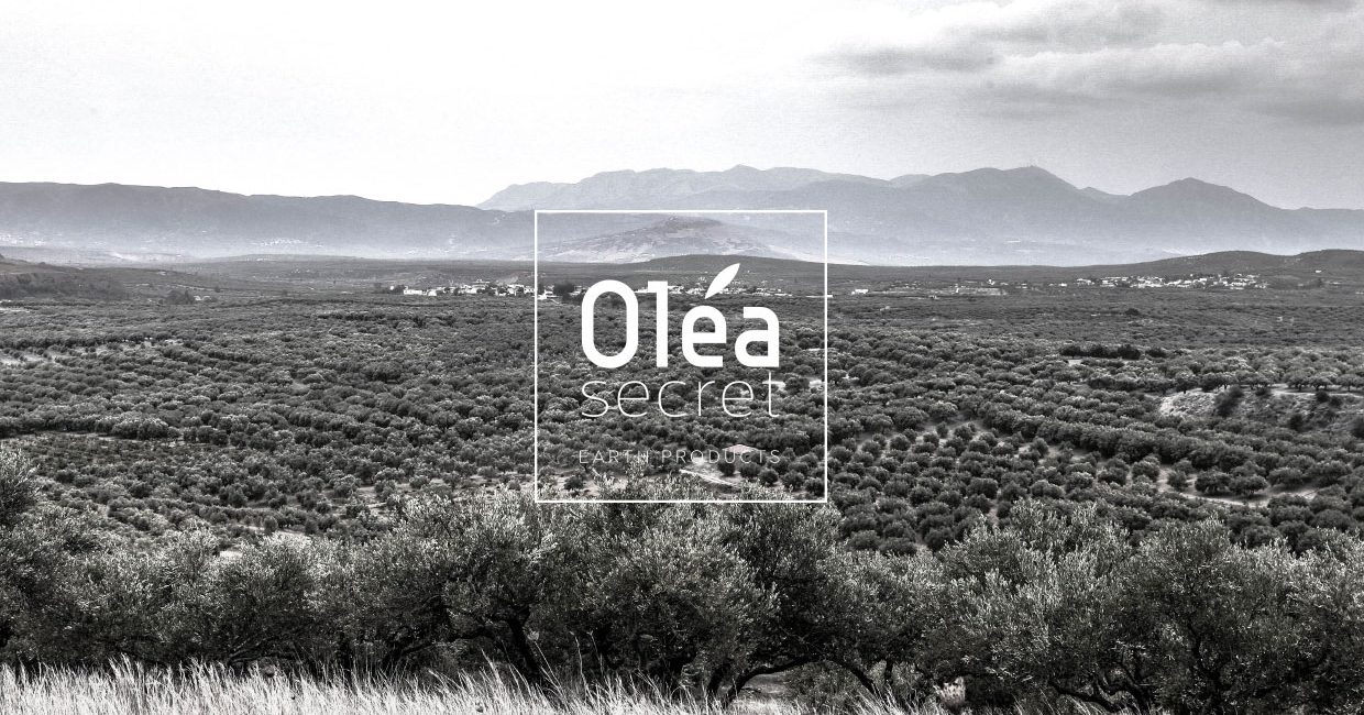 Olea-3